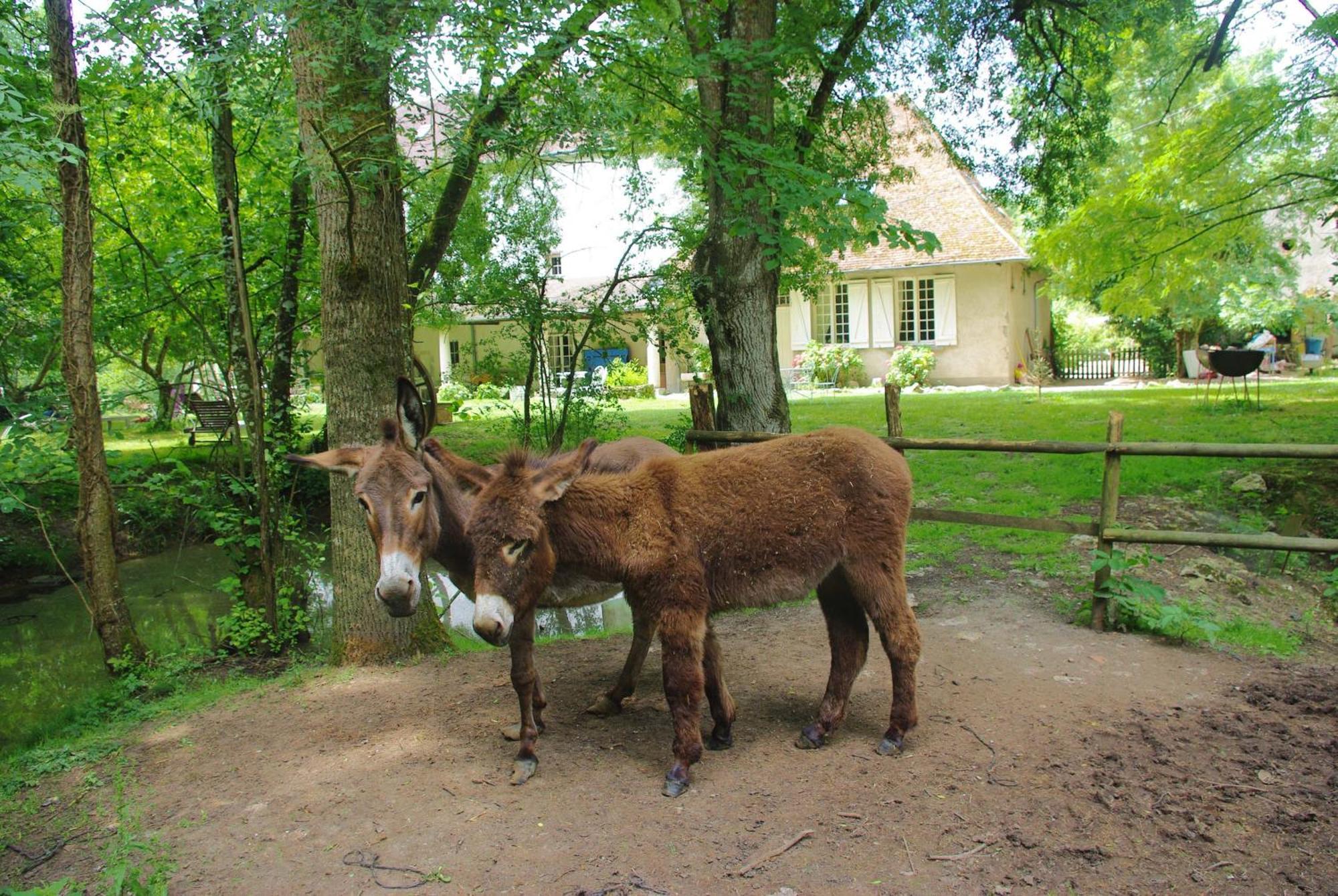 Maison D'Hotes Moulin Du Bas Pese モン・プレ・シャンボール エクステリア 写真